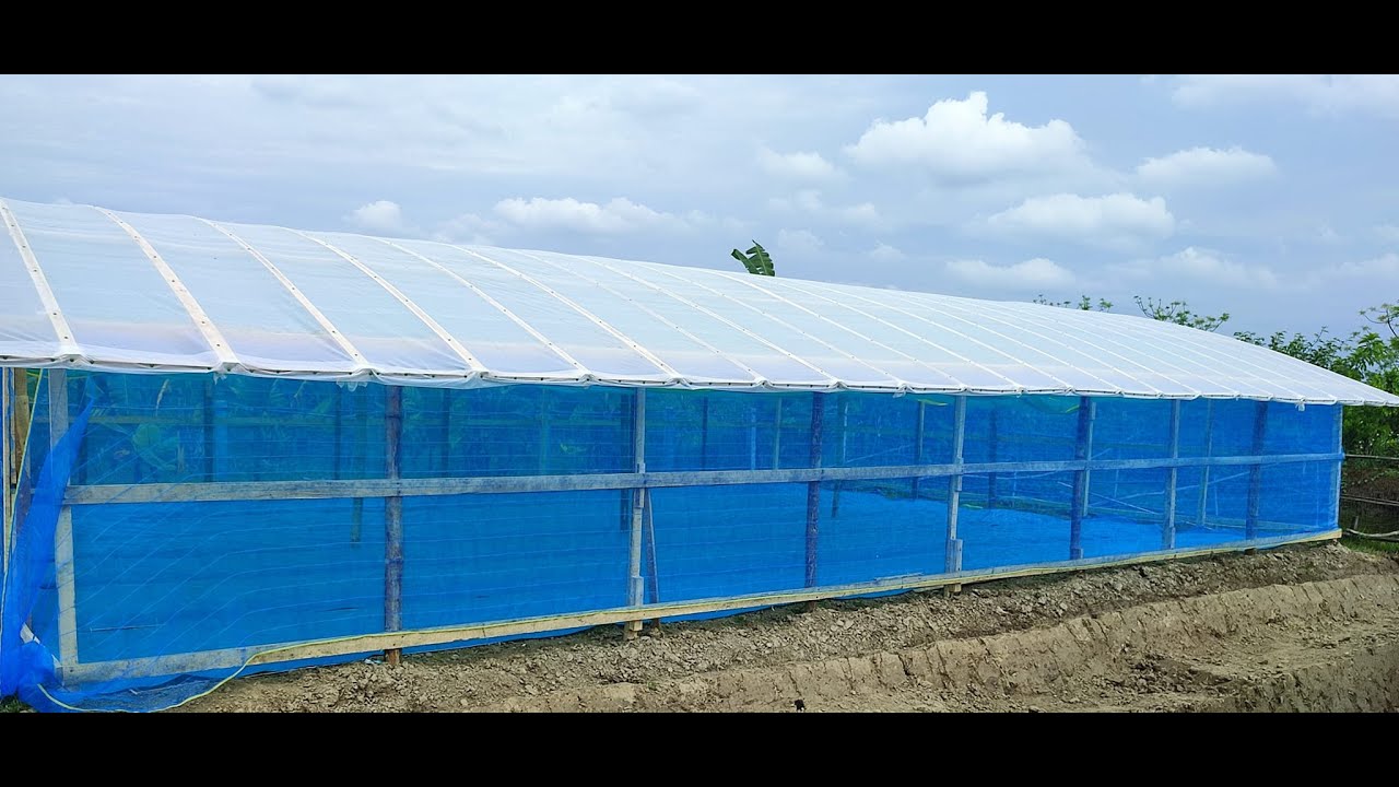 Polynet Design কম খরচে বাশেঁর তৈরী পলিনেট হাউজ | টেকসই ১৫ বছর - Cheap Poly Net House ...