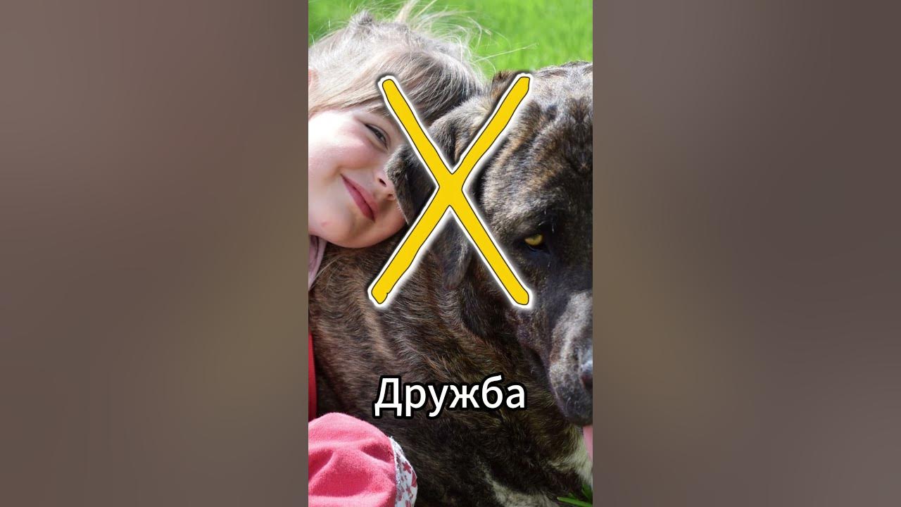 Что значит руна Гебо? Энегия Гебо. #руна #гебо #shorts - YouTube