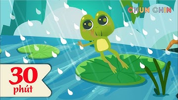 Mưa rồi, mưa rơi rồi | Liên khúc nhạc thiếu nhi hay nhất | Chun Chin