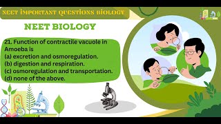 Function of contractile vacuole in Amoeba is || Cell The Unit of Life