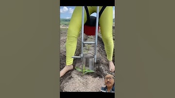 Dụng cụ bứng cây nhỏ gọn #satisfying #futurefarming