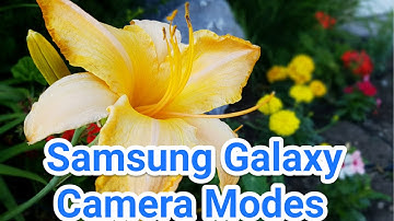 Galaxy S7 Camera Tips and Tricks