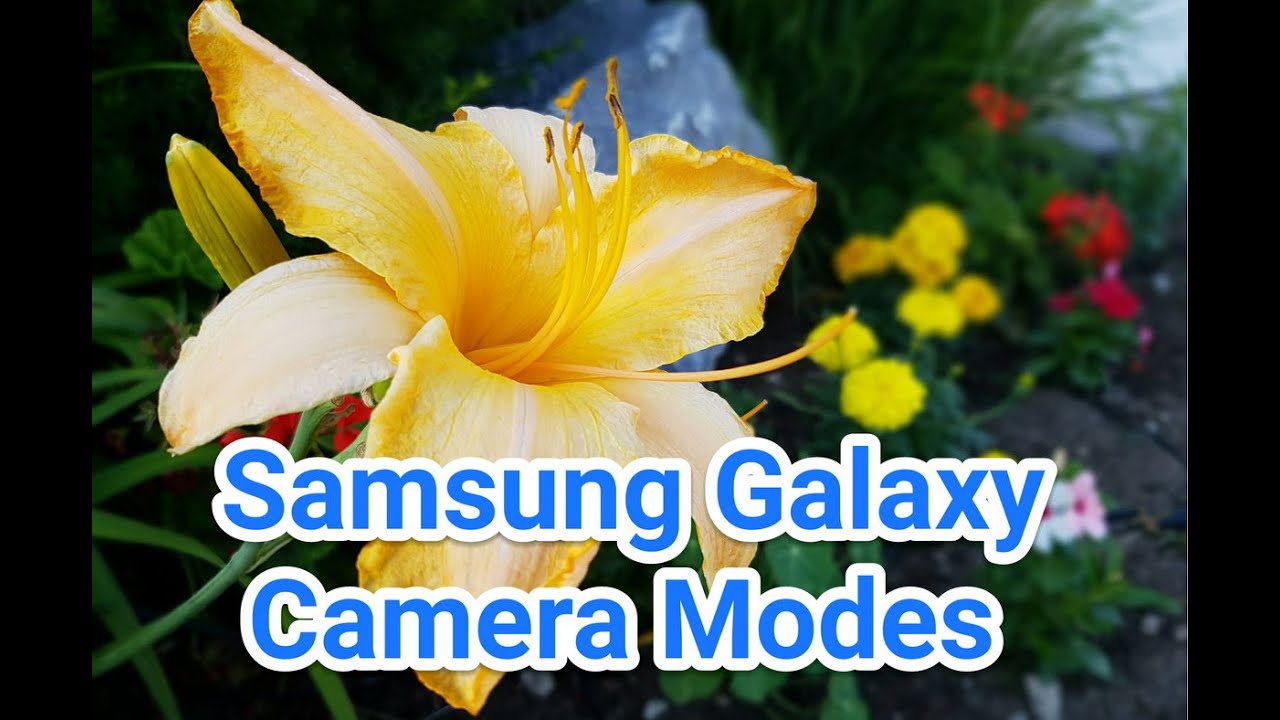 Galaxy S7 Camera Tips and Tricks