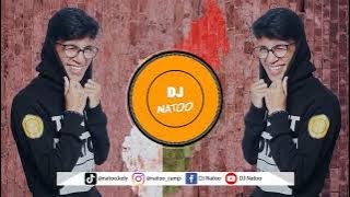 DJ Natoo - BAPAMPA V2 ( Orchestre Electrique - Ndao Tsika Holy ) REMIX