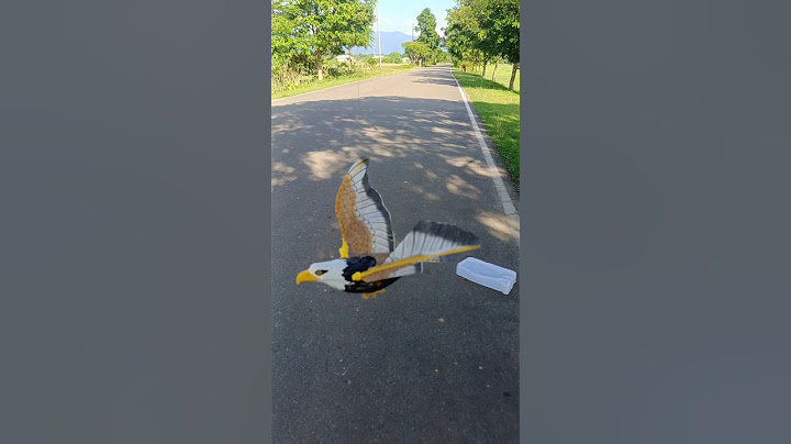 New model rc bird unboxing and test 🐦🐦🐦