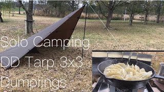 【秋のソロキャンプ】日帰りソロキャンプ　/固形燃料でスキレット使うのはやめた方がいい / Solo Camping : DD Tarp and Dumplings