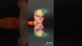 This Got 2M Views On Twitter Captioned Tiktok On Some Other S