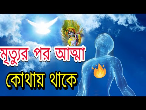 ভিডিও: মানুষের আত্মার সমন্বয়কারী