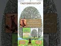 مدح قبائل ربيعة مساجلة شعرية بين ناصر الفراعنة و عبدالله بن عبار