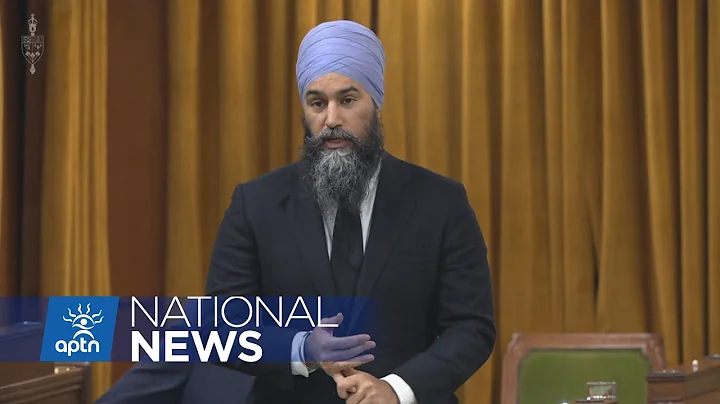 Will the NDP hold the Liberals to account when it comes to UNDRIP? | APTN News