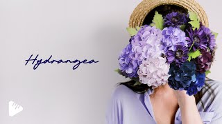 Download Lagu Hydrangea | The Piano | SoundAudio Download Lagu Hydrangea | The Piano | SoundAudio