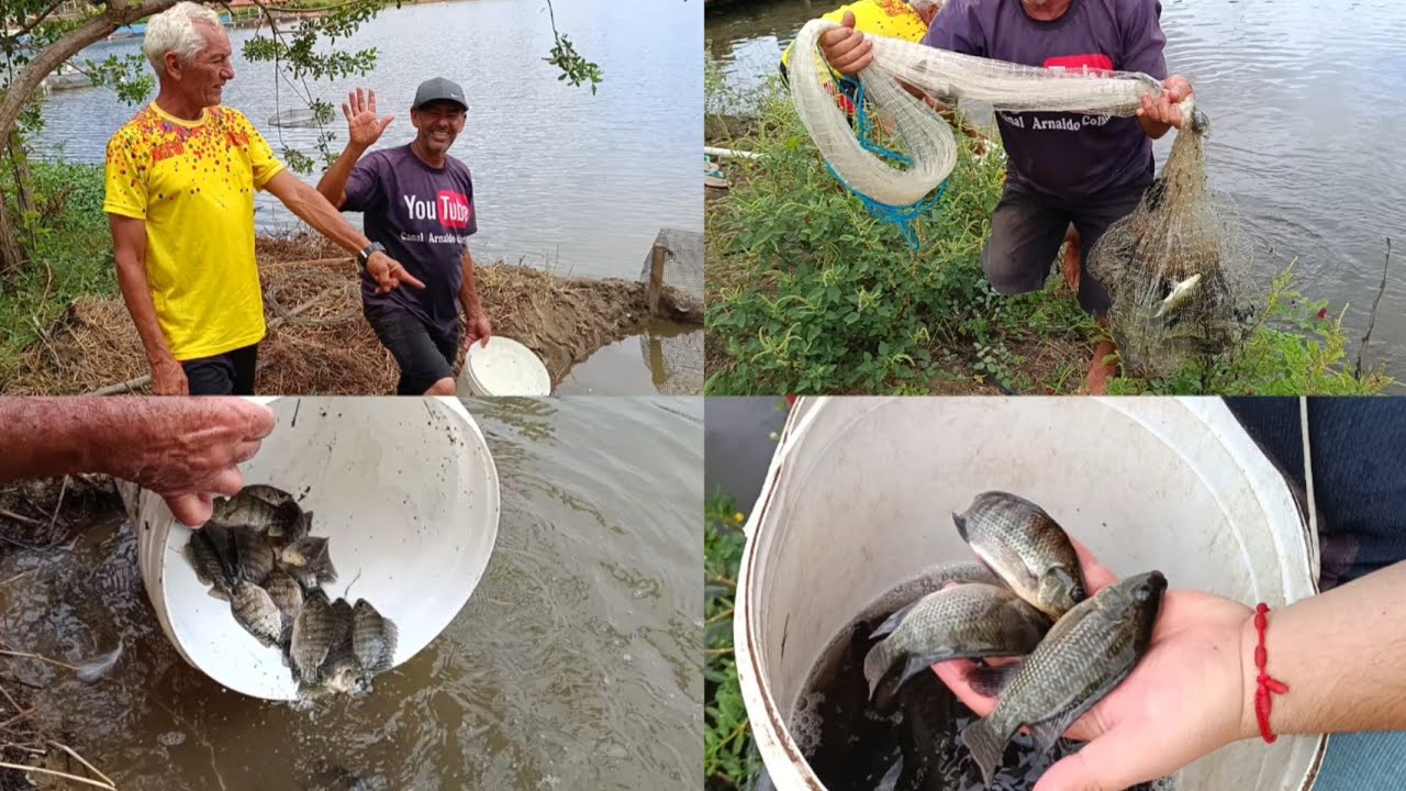 EU NÃO SABIA QUE TINHA TANTO PEIXES NESSE POÇO DO SANGRADOR!