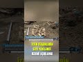 İtkin düşən Azərbaycan vətəndaşlarının yeni sayı açıqlandı
