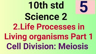 10th std Science Life processes in living organisms Part 1 Meiosis (Video 5) Maharashtra board