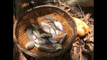 CÂU CÁ SẶC MỒI BÁNH MÌ