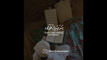 تلاوة مريحة ❤️😌من سورة الفرقان • القارئ شريف مصطفى | حالات واتس اب دينية