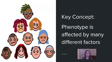 Complex Patterns of Inheritance:  Incomplete Dominance