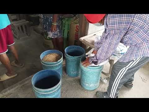 Blackstone kuno rice mill