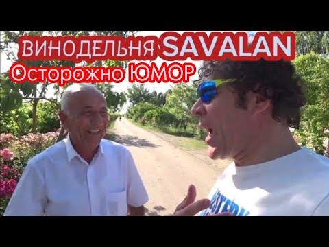 Поездка на винодельню Савалан. Алкоэксперт Стефан Секулич. Азербайджанское вино SAVALAN. Азербайджан
