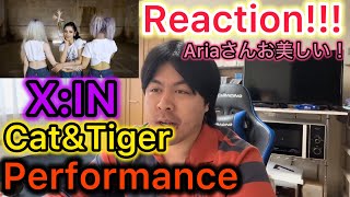 【X:IN】(엑신) ‘Cat&Tiger’ Performance Video Reaction!!!