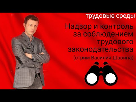 Надзор и контроль за соблюдением трудового законодательства (#Василий_Шавин)