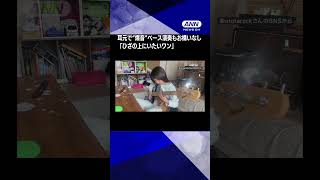 「ひざの上にいたいワン」　耳元で“爆音”ベース演奏もお構いなし　なぜどかない？ #shorts