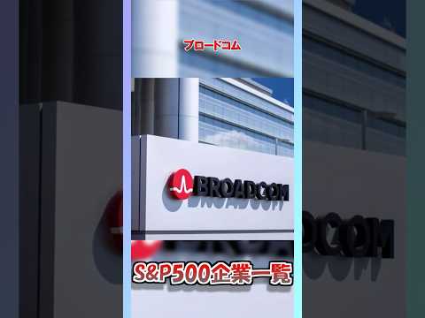 【#ゆっくり解説】S&P500企業を見る【#ブロードコム(#AVGO)】#shorts#投資#sp500#米国株#企業解説#半導体#半導体株#vmware#OpenAI#soxl