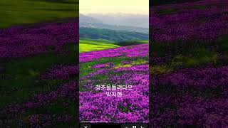 #박지현 #청춘을돌려다오