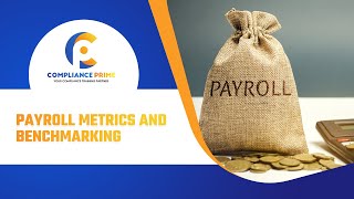 Payroll Metrics and Benchmarking