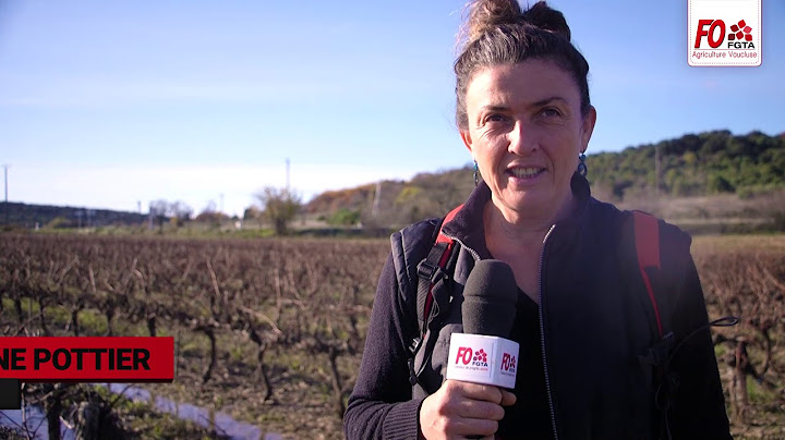 Les femmes dans l'agriculture 3