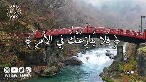 لكل أمة جعلنا منسكا هم ناسكوه فلا ينازعنك في الأمر وادع إلى ربك  - القارئ ياسر الدوسري