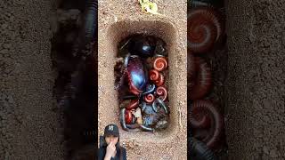 Download Lagu KENAPA SEMUA DI MASUK KAN KE LOBANG KAK ‼️#shorts #funny #dubbing MP3