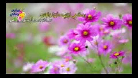 قمة الإبداع والإمتاع لشيخ القراء عبد الباسط عبد الصمد لآيات من سورة الحديد