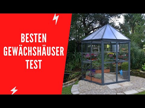 ✅ Die Besten