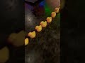 Chicken Wedding song! But why ducks🤪