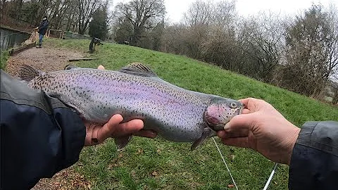 Shakespeare Oracle 2 Stillwater, 9'6" 6wt, review & fish