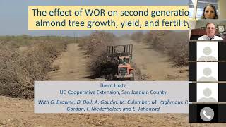 Potential of Whole Orchard Recycling to Build Sustainability and Resilience of Almond Production
