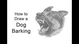 How to Draw a Dog Barking (German Shepherd)