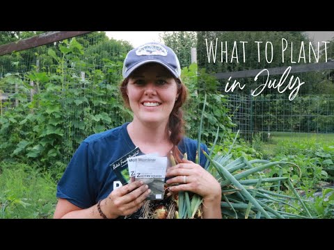 Come Plant a Fall Garden with Me!