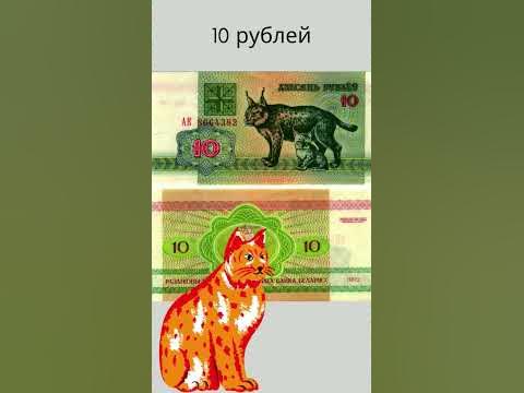 Белорусские "зайчики". Часть 2. - YouTube