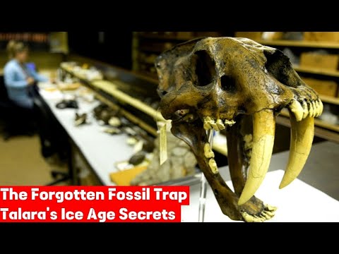 The Forgotten Fossil