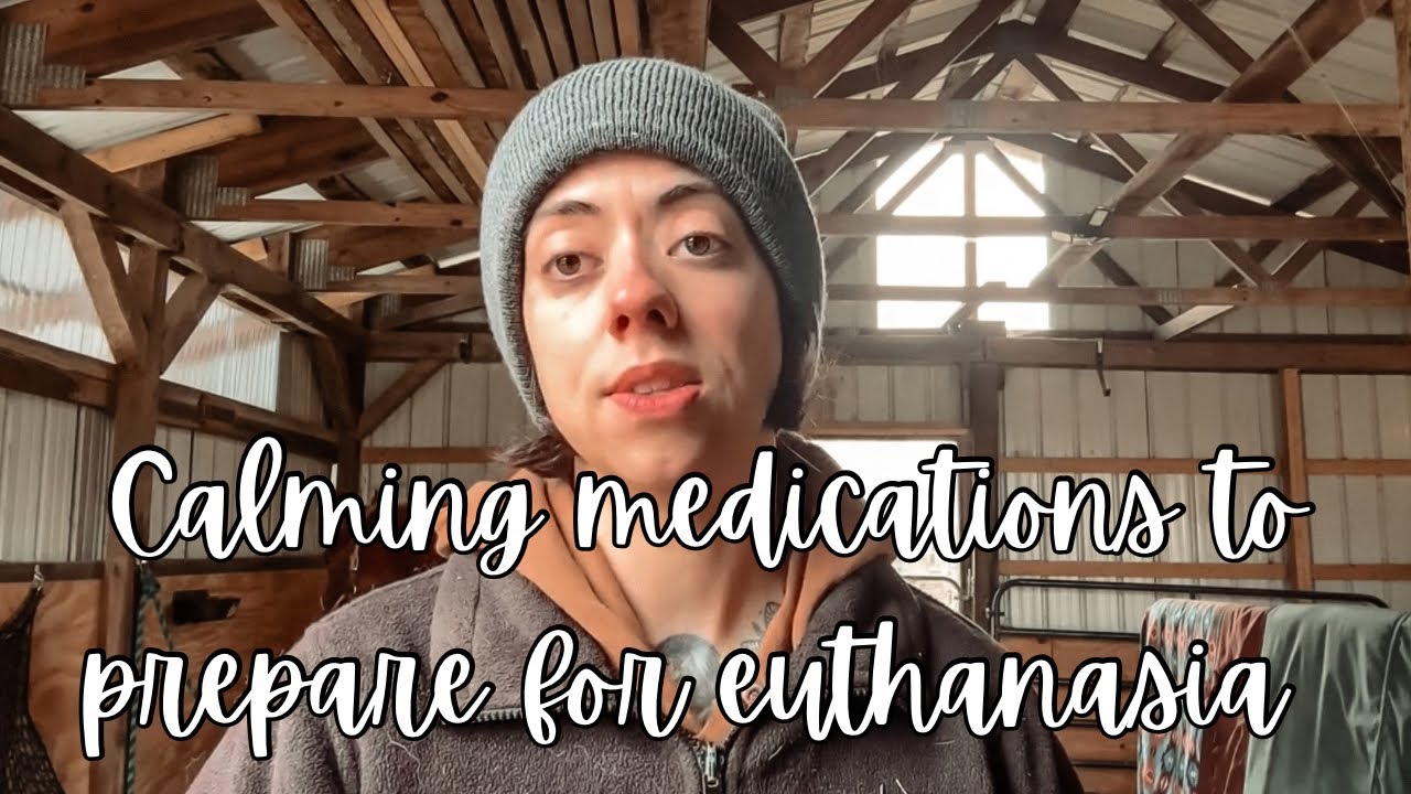 Preparing for Peace Essential Medications for Euthanasia with Your Pet
