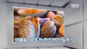 [기획취재] 여름철 어패류가 위험하다, 비브리오패혈증!