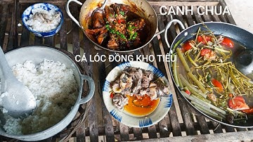 Toát mồ hôi với nồi "CANH CHUA RAU NHÚT CÁ LÓC ĐỒNG KHO TIÊU" cơm quê ngày mưa 
