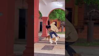 🐶🤸An Amazing Dog Flip!Dogs are truly one of the most loyal and loving friends we can have.❤️🐕