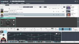 How to Make a House Groove _ Loopcloud Tutorial