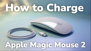 How to Charge Apple Magic Mouse 2 (step by step)