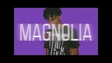 Playboi Carti- Magnolia (Clean)