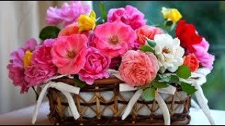 Classical music - Stay For A Little While - Truman Wilson - Night City - Music for you
