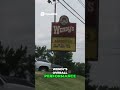 Wendy's Closing Hundreds of Stores What You Need to Know #closing #wendys #restaurant